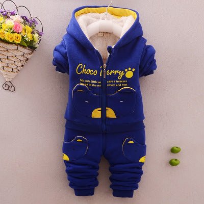 Hooded pocket bear sportswear - Crafted Wolf
